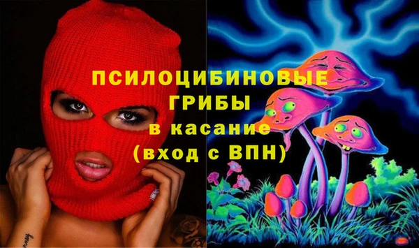 винт Алексин