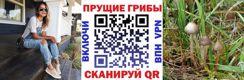 Псилоцибиновые грибы мухоморы  Железногорск 